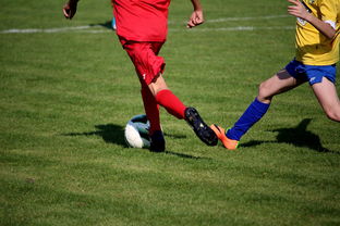 WTT冠军赛常规赛对决在即！巴黎圣日耳曼演练定位球，圣安东尼奥马刺密集防守应对